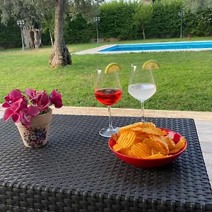 Del Principe , Carini Italia